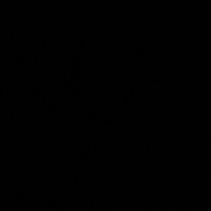 Meet your Posher, Peyton